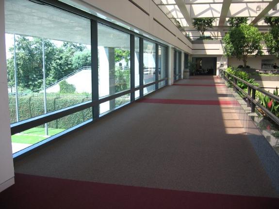 University Hall Skyway